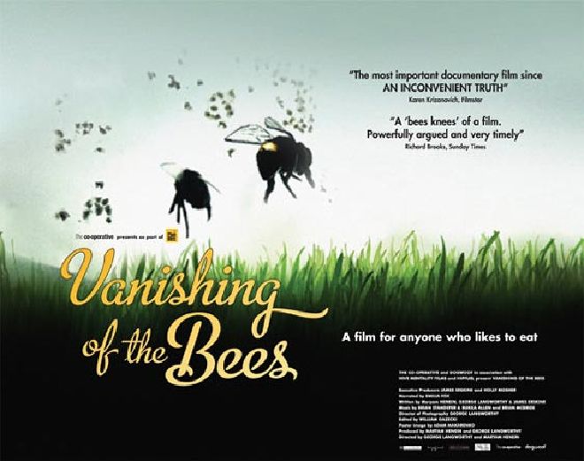   / Vanishing of the Bees